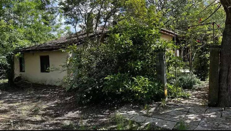 Korhan Berzeg’in ölümünde düğüm çözülüyor! DNA testi sonucu belli oldu - Resim: 39